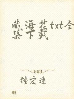 藏海花txt全集下载封面