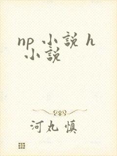 np 小说 h 小说封面