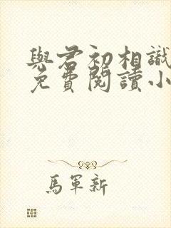 与君初相识全文免费阅读小说