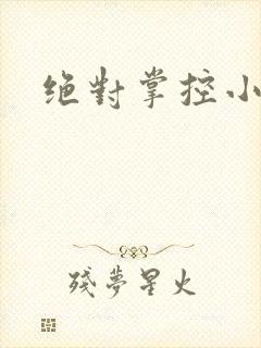 绝对掌控小说封面