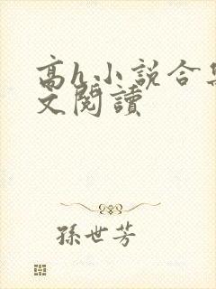 高h小说合集全文阅读