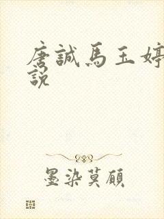 唐诚马玉婷的小说