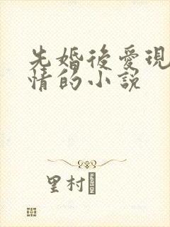 先婚后爱现代言情的小说