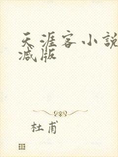 天涯客小说无删减版封面