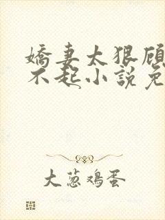 娇妻太狠顾少惹不起小说免费阅读