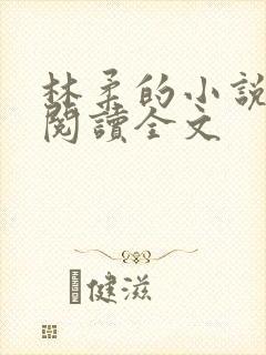 林柔的小说在线阅读全文封面