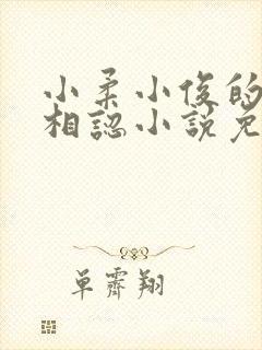 小柔小俊的商场相认小说免费阅读