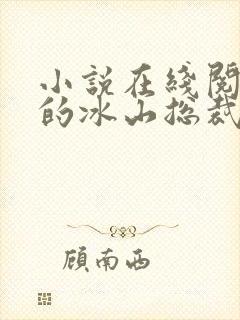 小说在线阅读我的冰山总裁老婆封面