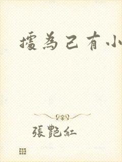 据为己有小说