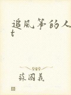 追风筝的人txt
