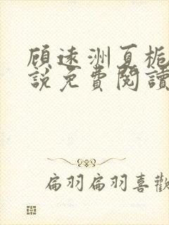 顾远洲夏栀栀小说免费阅读最新章节封面