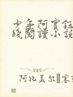 少年阿宾钰慧在线阅读小说