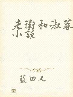 老卫和淑蓉全集小说