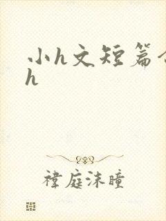 小h文短篇合集h封面