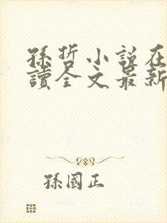 孙哲小说在线阅读全文最新封面