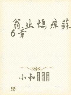 翁止熄痒苏玥第6章