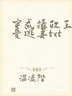 穿成摄政王的侍爱逃妻txt