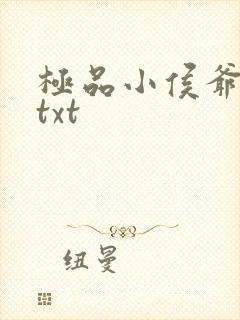极品小侯爷小说txt封面