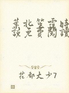 叶北笙霍时庭小说免费阅读无弹窗封面