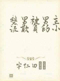 双男被男主们轮流欺负的小说封面