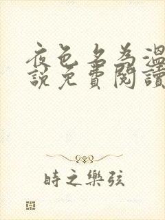 夜色名为温柔小说免费阅读