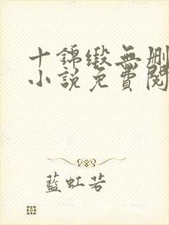 十锦缎无删原著小说免费阅读封面