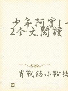 少年阿宾1一72全文阅读