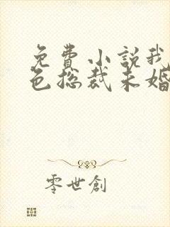 免费小说我的绝色总裁未婚妻