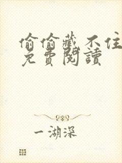 偷偷藏不住完本免费阅读