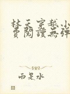 林天穿越小说免费阅读无弹窗封面