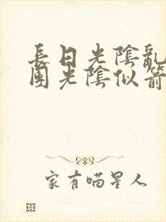 长日光阴乱作一团光阴似箭眇眇翟封面