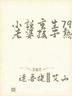 小说重生79:老婆孩子热炕头阅读