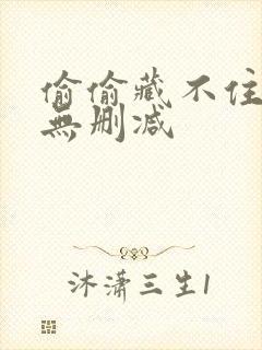 偷偷藏不住番外无删减