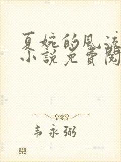 夏婉的风流人生小说免费阅读