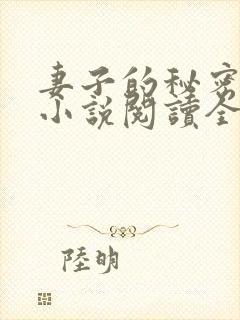 妻子的秘密吴双小说阅读全文封面