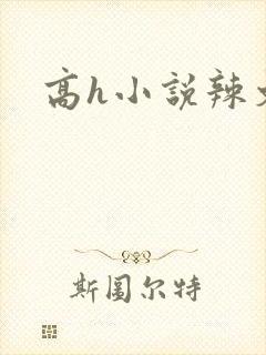 高h小说辣文