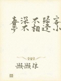 春深不归客 清梦不相逢小说