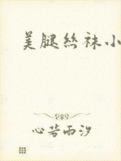 美腿丝袜小说封面
