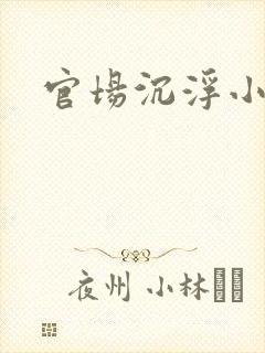 官场沉浮小说