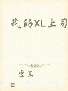 我的XL上司