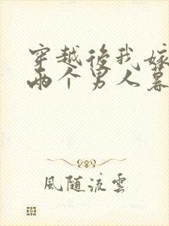 穿越后我嫁给了两个男人暮色酒歌
