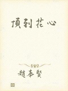 顶到花心封面