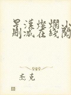 星汉灿烂小说无删减在线阅读封面