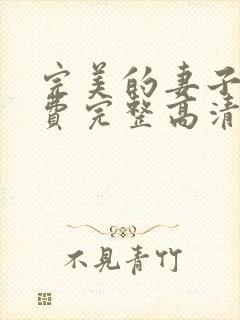 完美的妻子6免费完整高清电视剧在线