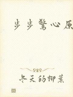 步步惊心原著