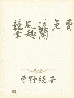 竞风流免费阅读笔趣阁