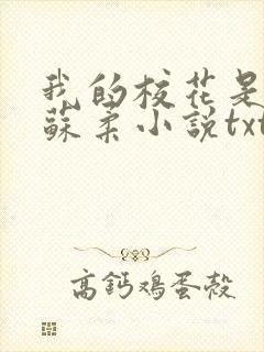 我的校花是福姬苏柔小说txt