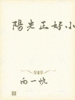 阳光正好小说