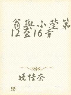 翁与小莹第十部12至16章封面