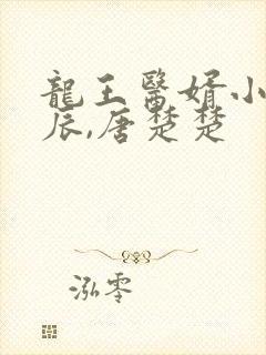 龙王医婿小说江辰,唐楚楚